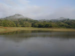 The Sanctuary contains about 35 tigers, generally hidden, and this artificial lake made by the British.