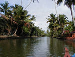 On a trip through the "backwaters" by canoe.  Kerala, the name of this state, means place with lots of coconuts.  