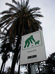 We think this sign means you need to catch dogs that play ball in the park