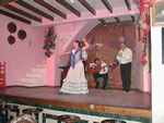 Flamenco show