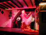 Flamenco show