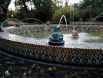 Frog Fountain at Maria Louisa