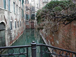 Even more Venice