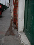 A streetcleaner's broom.  For some reason, streetsweepers  in France, Spain, and Italy prefer the kind with branches.  In Paris, they use brooms with plastic replicas of branches.