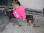 This little girl's mother tied a string to the leg of a little vole, so the girl (and the cat) could have "fun" with it.