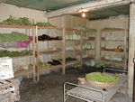 The vegetable storage room at the monastery