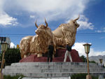 The famous yak statues.  Dedicated on the 40th anniversary of Tibet's subjugation by China.   Note the guard.