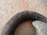 Carved stones and horn