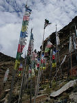Prayer flags at the shrine.  The kids were delighted to find some little flags that had blown off onto the ground