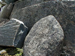 This is a circle of life carved on a rock.  There are big middens covered with tablets that have  Tibetan words carved on them.  We couldn't find anyone that knew how the stones got there.  They generally said monks carved them and left them there but always seemed uncertain.  We never saw anyone carving them or carrying them around.