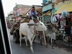 Bullock cart - Monica has been trying to take a photo of one for weeks