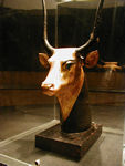 Cow guard for King Tut