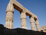 Papyrus columns