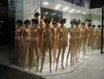 The naked lady store