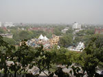Looking out at downtown Delhi.  There's a temple in the foreground, but the point of the photo is to show how many trees there are.