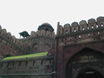 The Lahore Gate.  You cannot get a sense of it here, but the place is huge.  It was built by Shah Jahan in the 17th century.  Shah Jahan had an almost insatiable passion for building. At his first capital, Agra, he undertook the building of two great mosques, the Moti Masjid and Jami' Masjid (Great Mosque), as well as the superb mausoleum known as the Taj Mahal . The Taj Mahal is the masterpiece of his reign and was erected in memory of the favourite of his three queens, Mumtaz Mahal (the mother of Aurangzeb). At Delhi, Shah Jahan built the Red Fort as well as the Jami' Masjid, the largest mosqe in India. He also built the walls of Delhi.  The greater part of Old Delhi is still confined within the space of Shah Jahan's walls, and several gates built during his rule still stand.