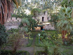 Garden in kasbah courtyard