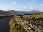 Dunmore Head and Great Blasket with stone wall