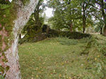 Ruins of St Fillian's Chapel