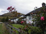 Cottage with roses
